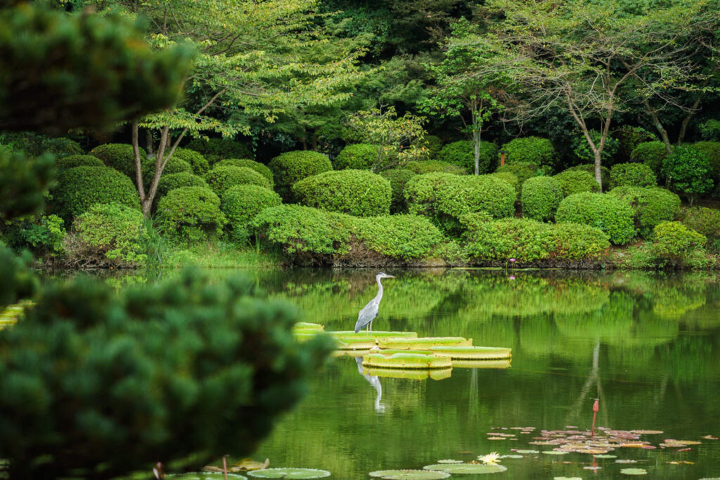 【トコトコ旅日記】大分編 別府湯けむり旅&やまなみハイウェイツーリング