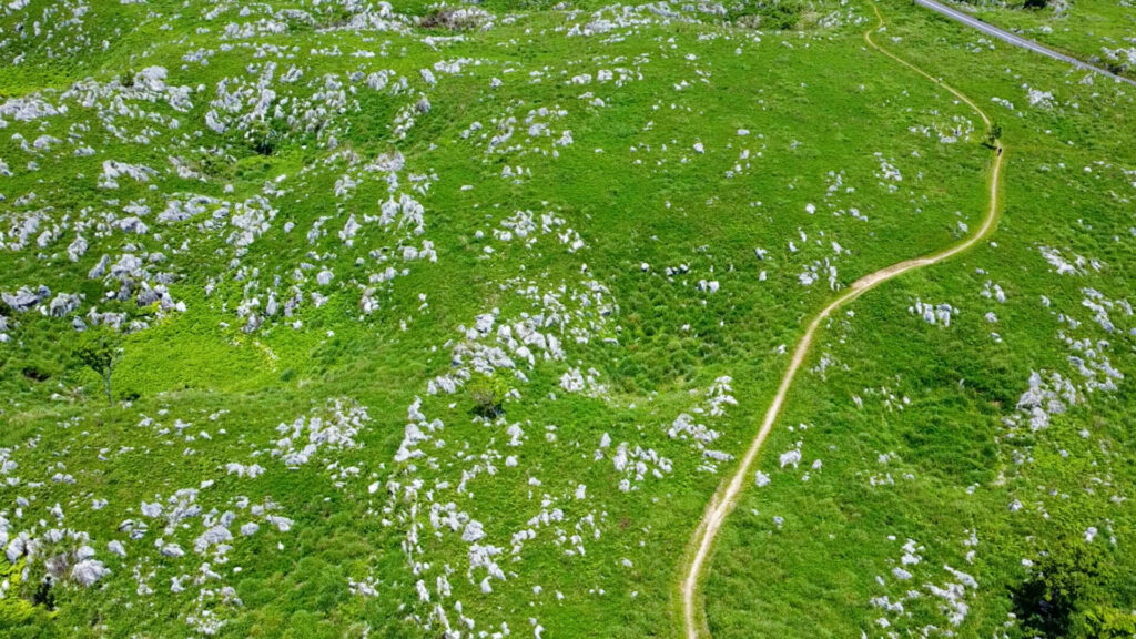 【トコトコ旅日記】山口編 秋吉台・角島ツーリング