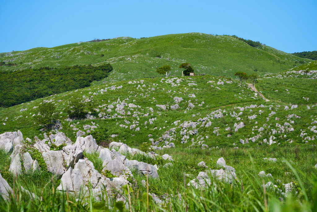 【トコトコ旅日記】山口編 秋吉台・角島ツーリング