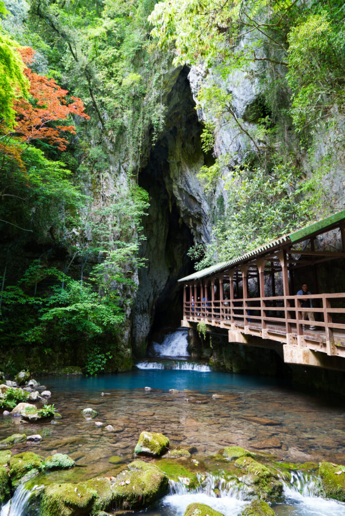 【トコトコ旅日記】山口編 秋吉台・角島ツーリング