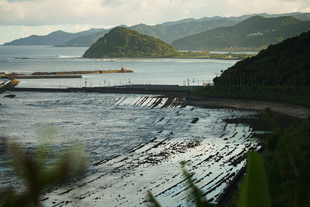 【トコトコ旅日記】宮崎編 日向岬&日南フェニックスロード